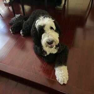 Meet your Posher, Victoria